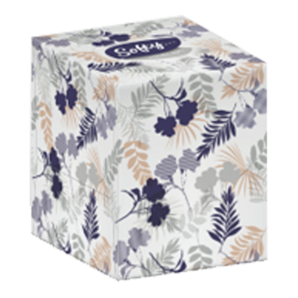 T1315 Softy Cosmetic Cube Tissues - 2 Ply - 70 Pack (Price per box of 24)